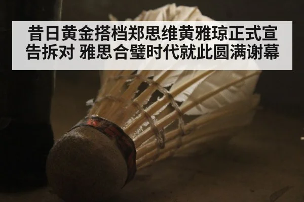 昔日黄金搭档郑思维黄雅琼正式宣告拆对 雅思合璧时代就此圆满谢幕